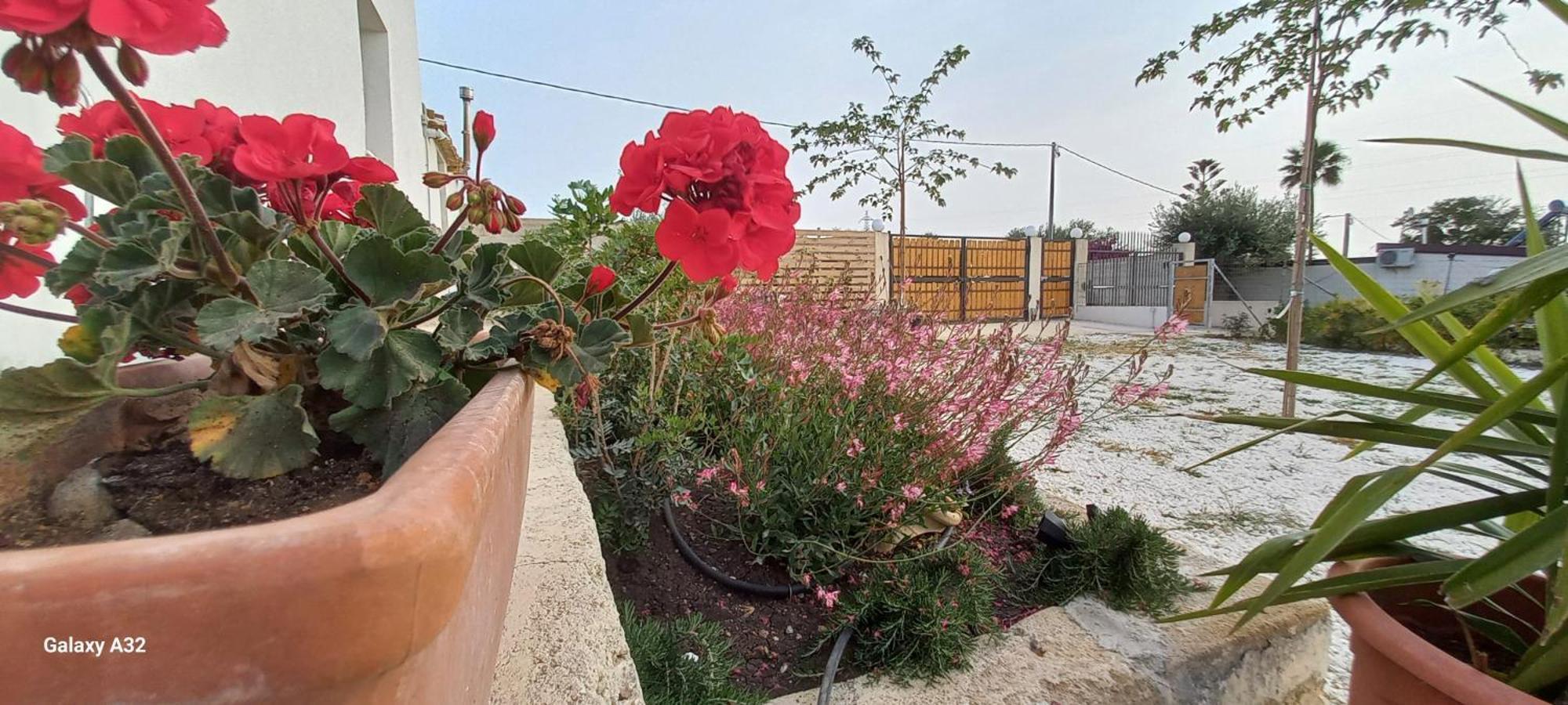 Almademari Giglio Casa Vacanza Pachino Δωμάτιο φωτογραφία