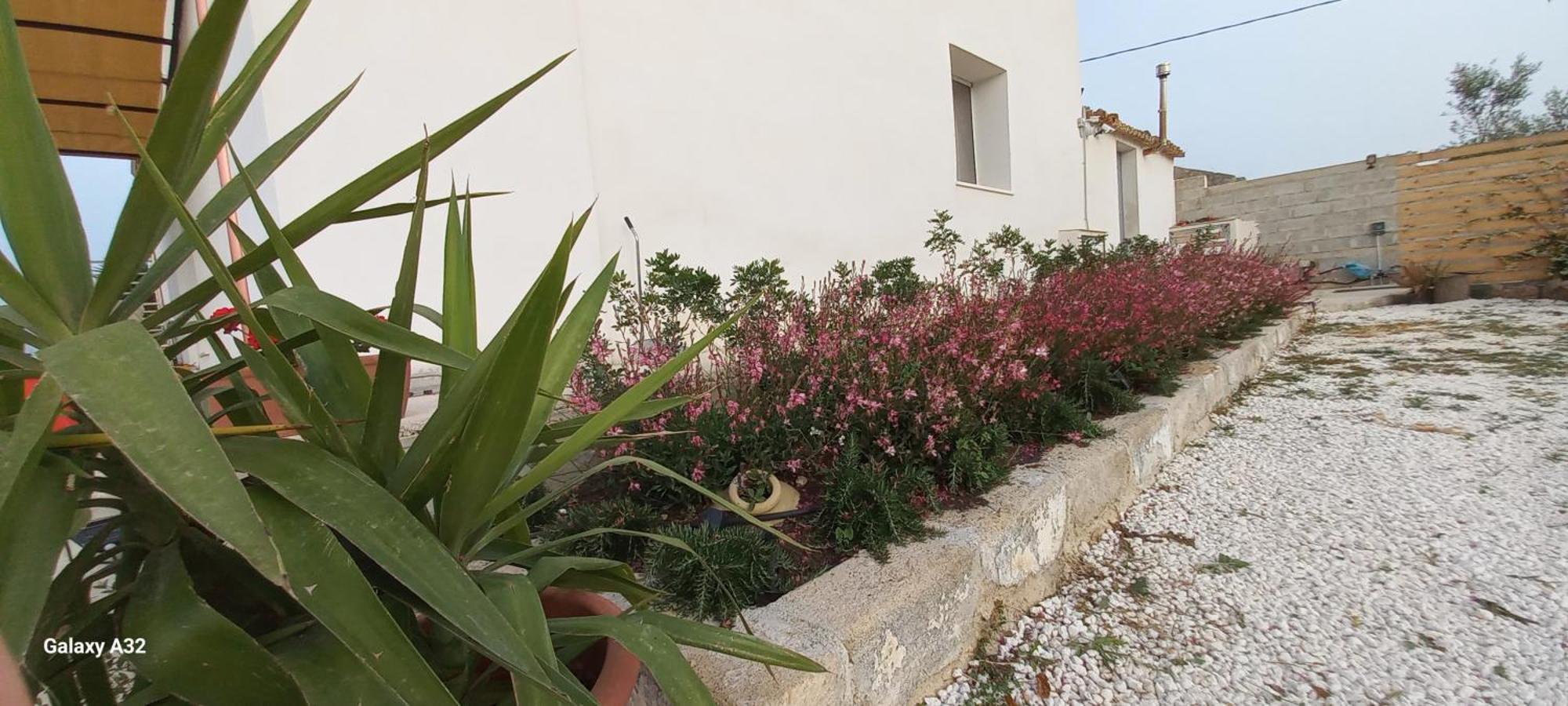 Almademari Giglio Casa Vacanza Pachino Δωμάτιο φωτογραφία